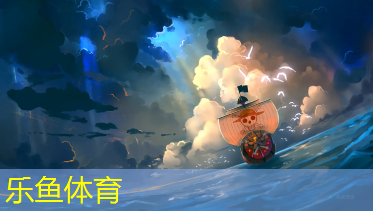乐鱼体育,喷粒型塑胶跑道价格