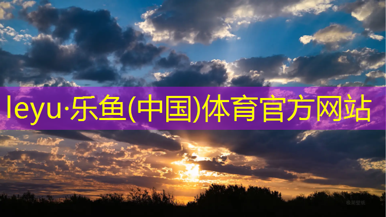 leyu·乐鱼(中国)体育官方网站,红桥区塑胶跑道和橡胶跑道