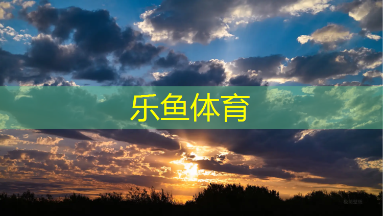 男子体操跳马落垫扣多少分