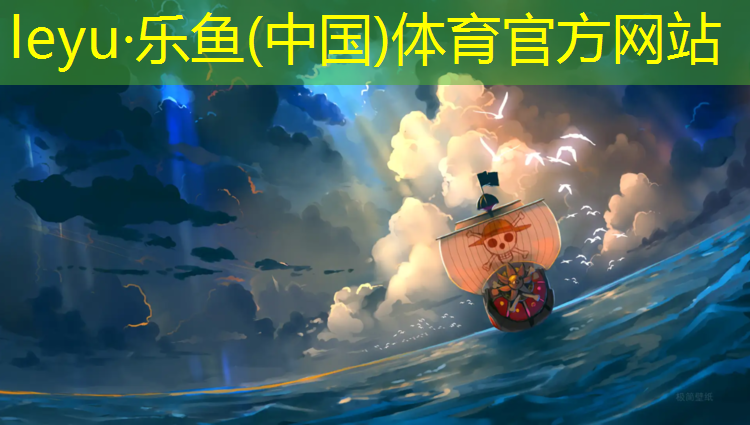 大兴公园塑胶跑道施工